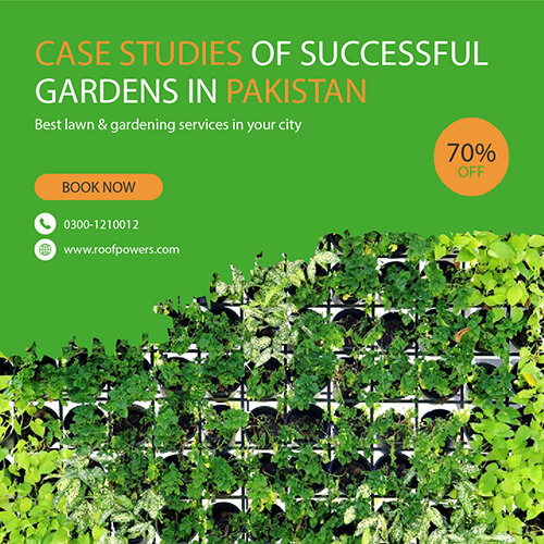 Case Studies of Successful Vertical Gardens