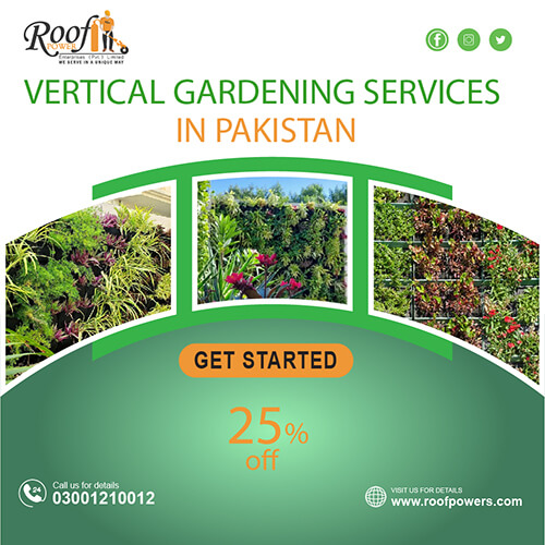 Introduction To Vertical Gardening in Pakistan