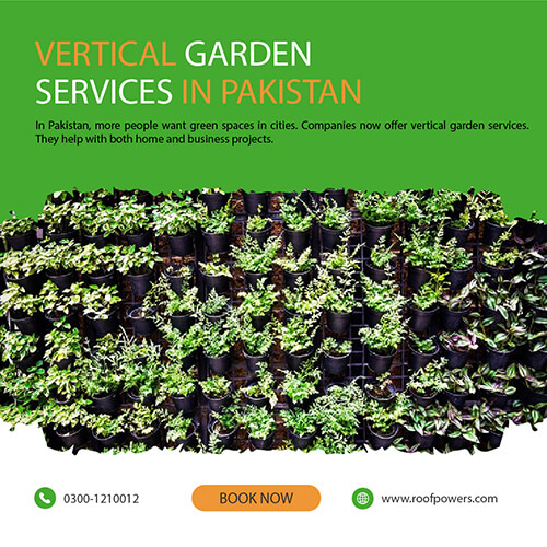 Vertical Garden Services In Pakistan