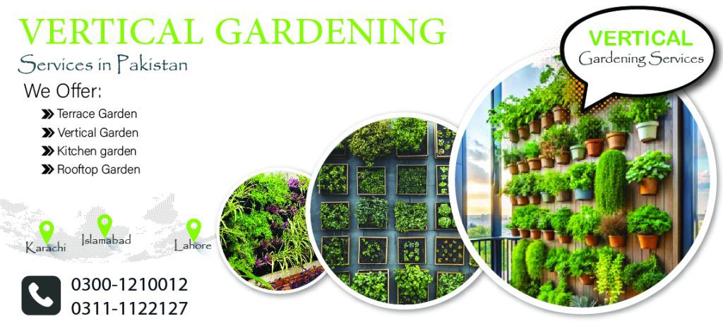 Vertical Garden Services Pakistan